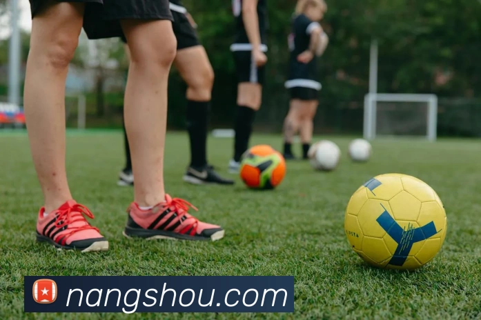 开云app服务体系